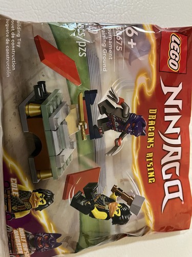 LEGO NINJAGO: Dragons Rising 30675 Cole and Wolf Mash