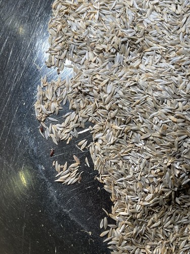 Foto dell'oggetto di un acquirente verificato