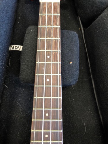 Kala Brand Ukulele KA-ASMT Tenor Uke With Steady Carrying Case + Strings! *23