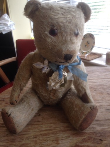 pedigree teddy bear 1950s