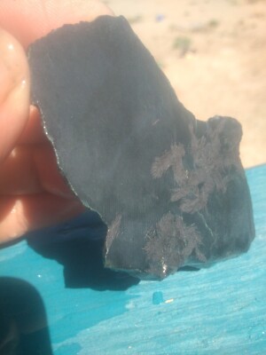 Black Magnetite Change Magnetite Dendrites Old Stock Historic Stoddard Wells
