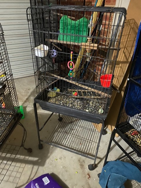 lorikeet cage