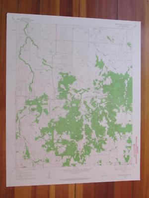 Buzzard Roost Knob Texas 1963 Original Vintage USGS Topo Map