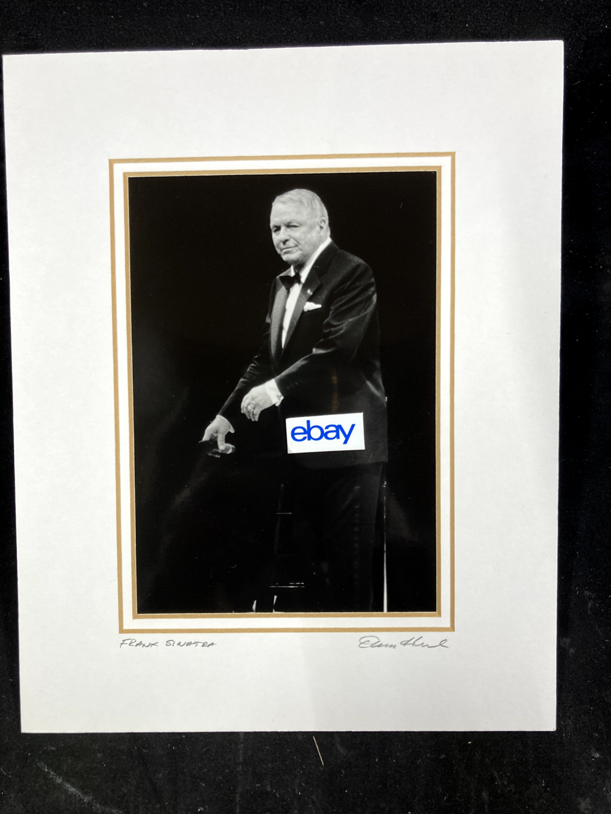 1994 FRANK SINATRA B&W 5X7 MATTED PERFORMANCE PHOTOGRAPH BY DAVID HONL