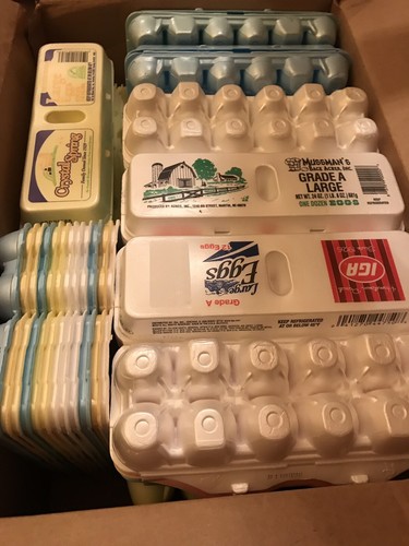 100 PLASTIC EGG CARTONS- 12 COUNT