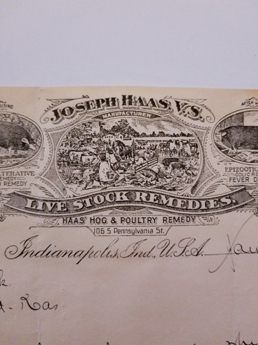 1902 Indianapolis Indiana JOSEPH HAAS Veterinary Medicine Livestock Remedies