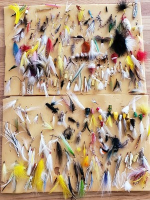 Assortments Salt Water Fly Fishing Flies - 