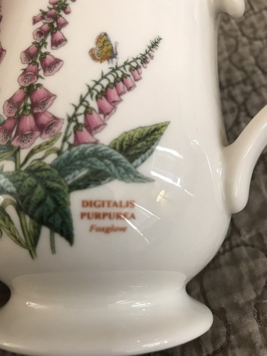 Portmeirion BOTANIC GARDEN TERRACE Foxglove Mug