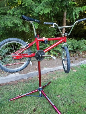 1999 schwinn predator