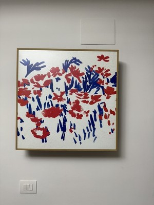 Fotos del artículo de un comprador verificado