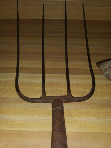 Old Vintage Primitive Farm Tool 4 Prong Pitch Fork Head and garden Farm Tool.