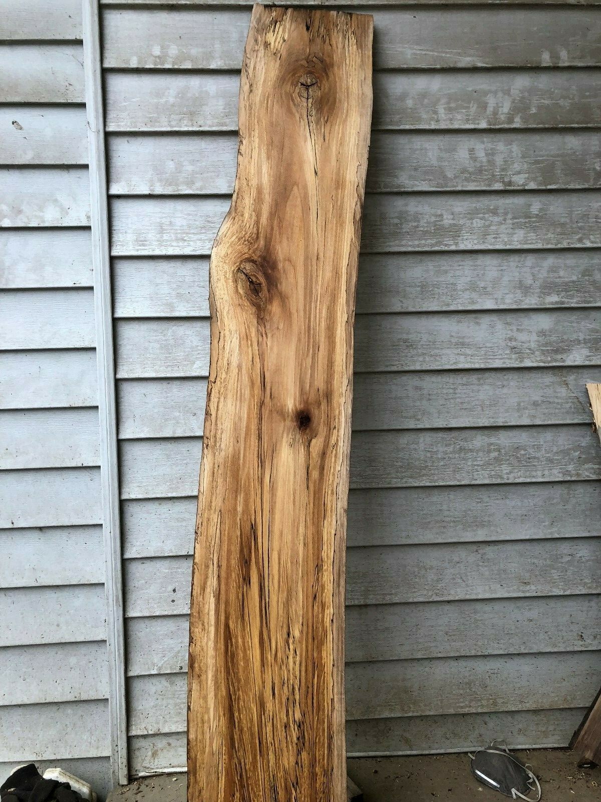Spalted  Natural Edge  Sycamore slab