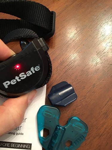 petsafe stay and play wireless Collar