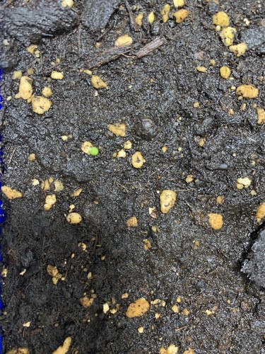 Objectfoto('s) van geverifieerde koper