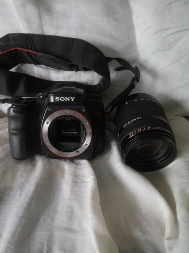 Sony dslr-a100 with Sony SAL 18-200mm f/3.5-6.3 DT Lens A