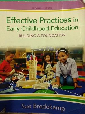 Effective Practices in Early Childhood Education: Building a Foundation (2nd...