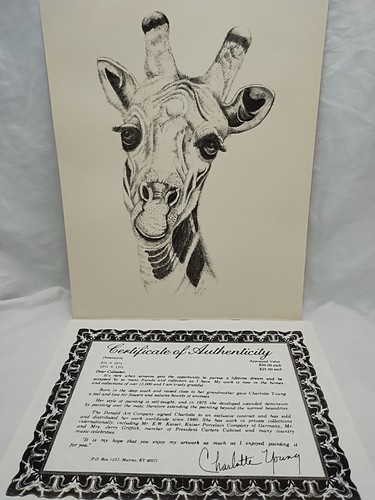 $_12.JPG?set_id=880000500F