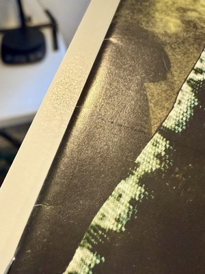 Foto dell'oggetto di un acquirente verificato