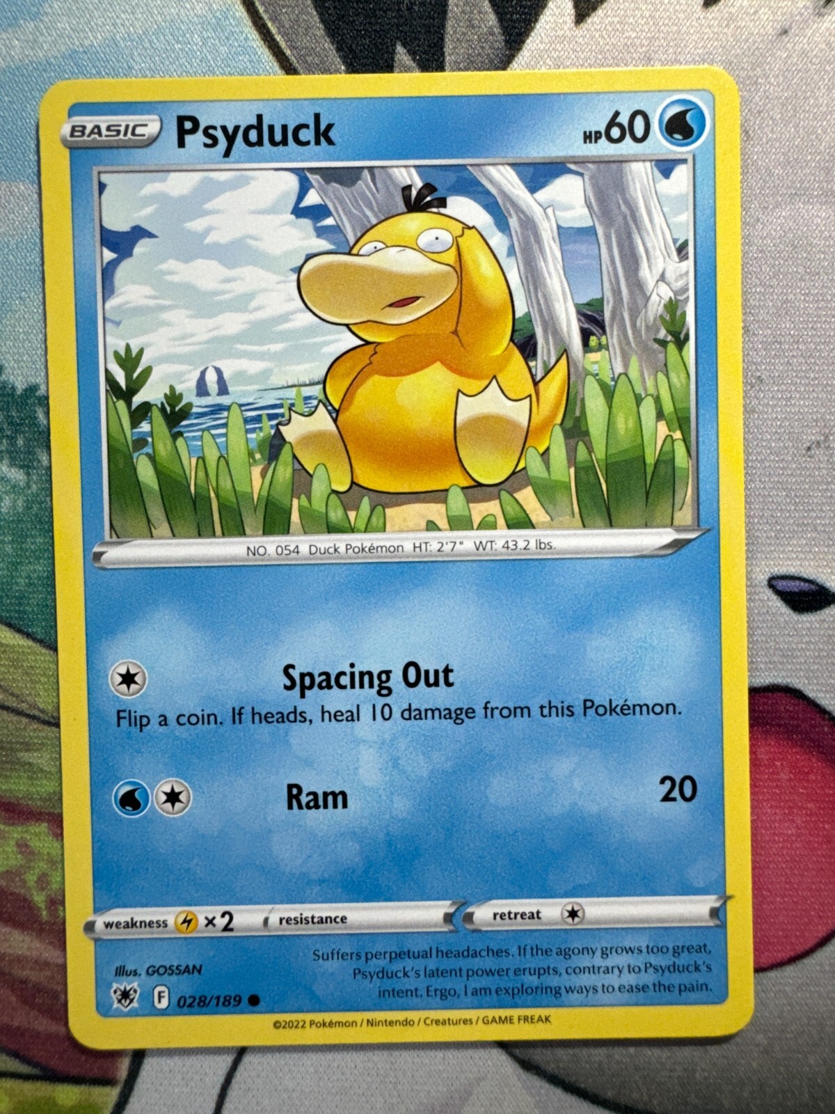 ムンク Pokemon Psyduck PSA 9 Scream Psyduck 286/SM-P Munch Promo 2018 Sun Moon
