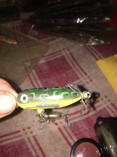 Lot of 2 Heddon Tiny Torpedo Fishing Lures
