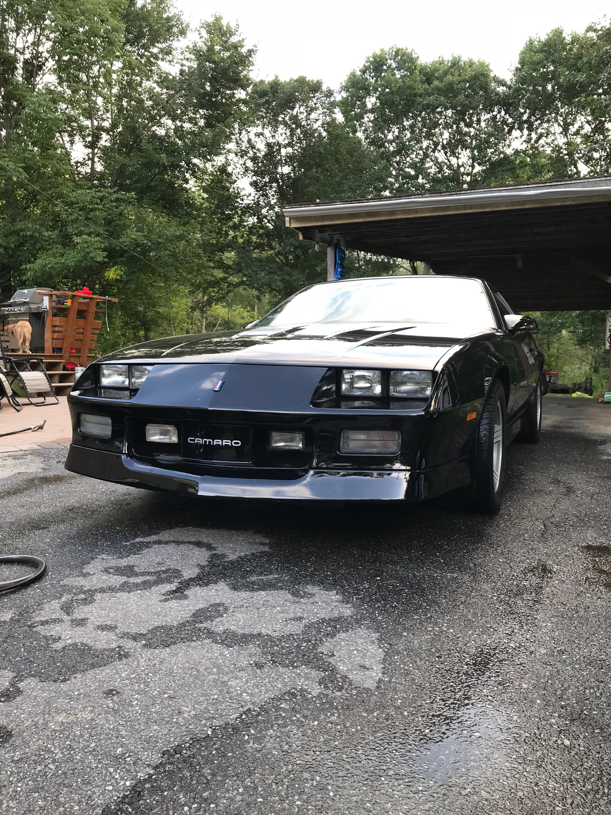 1985-1990 Camaro IROC-Z Front Bumper CAMARO Grille Grill