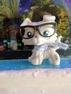 Fotos del artículo de un comprador verificado