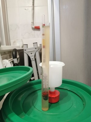 Artikelfoto(s) von einem verifizierten Käufer