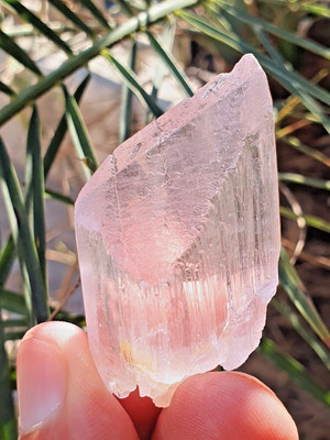 42.53 Gram Kunzite Double Terminated Transparent Crystal from mine Afghanistan
