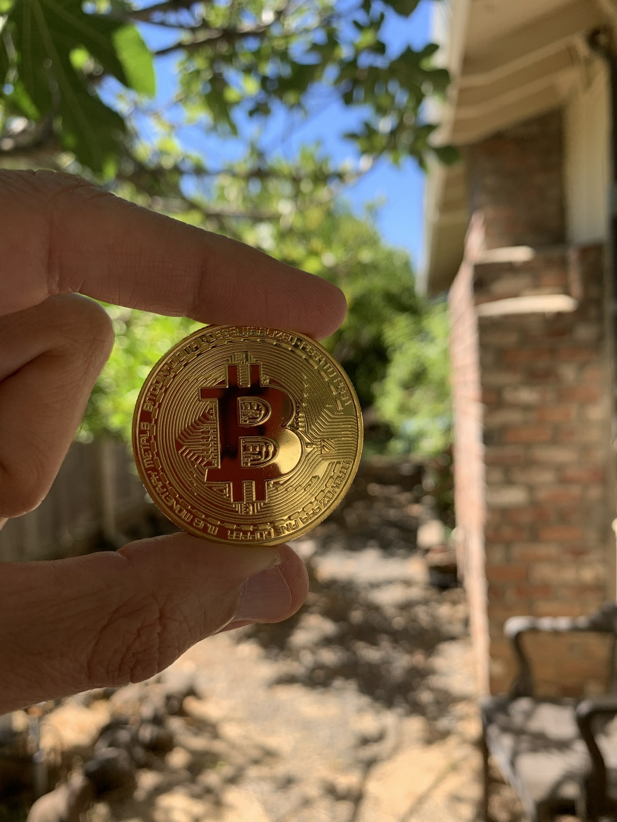 2 - BRAND NEW Physical Real 1oz BITCOIN Gold Plated 38mm Collectible BTC  Coin | eBay