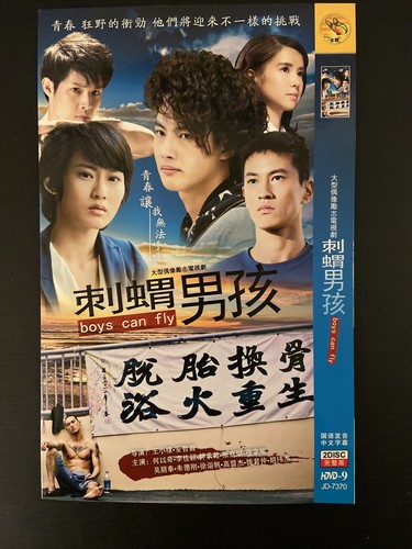 Chinese TV Drama: BOYS CAN FLY 大型偶像励志电视连续剧《刺猬