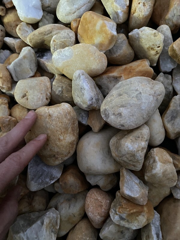 River Stones Pebbles Garden Rocks, Assorted 20 Lbs