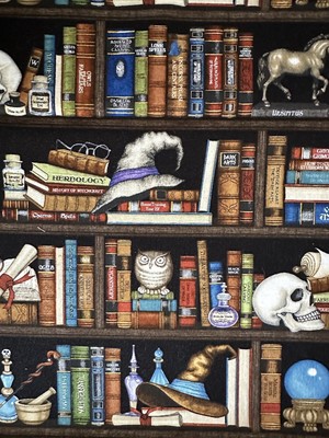 Dan Morris Spellbound Halloween Wizard Witch Shelves Books Potions Hat Skull BTY