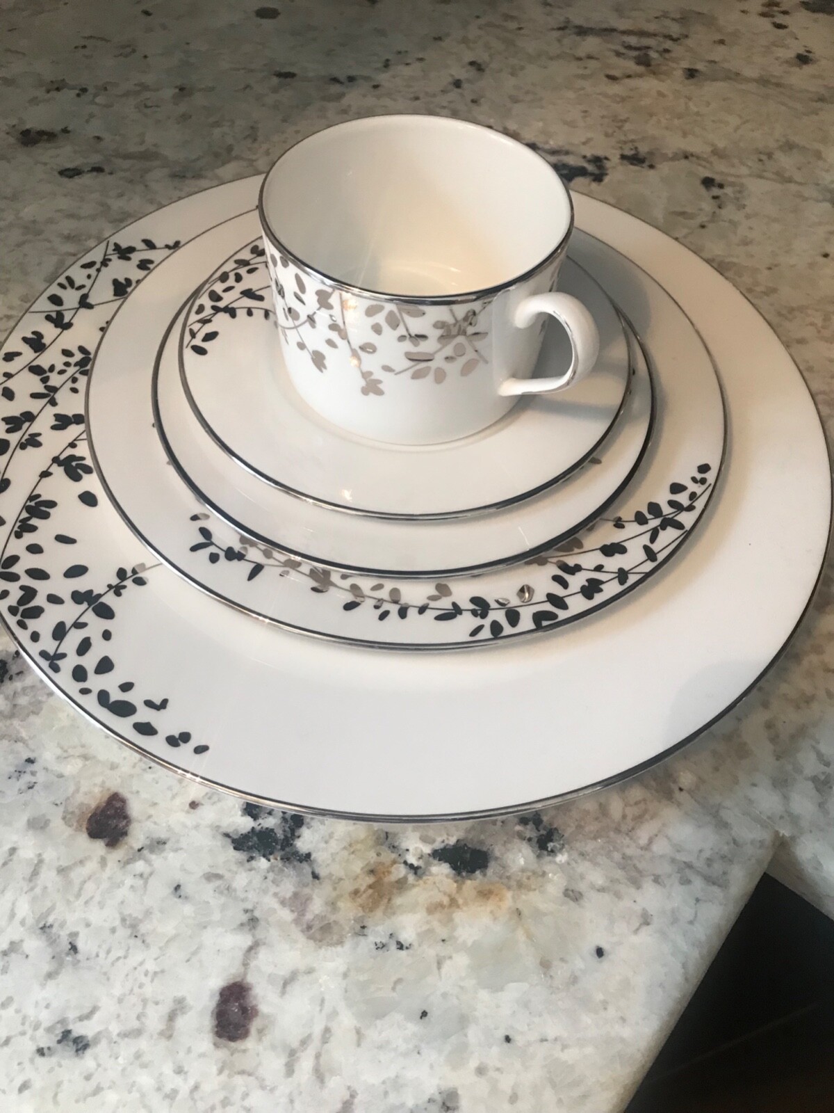 Kate Spade Gardner St Platinum China