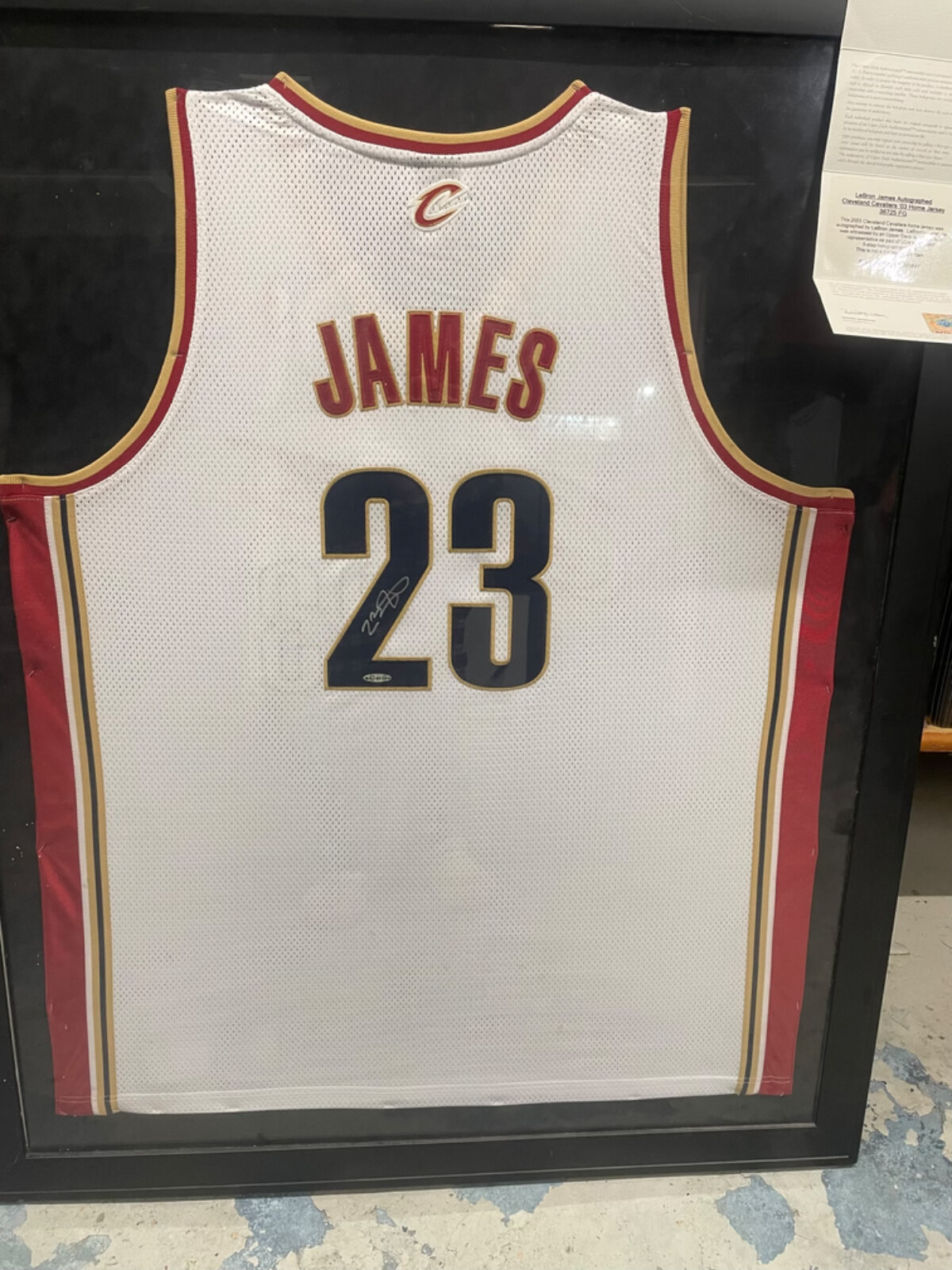 08-09 Lebron James #23 Cleveland Cavs Mens Mitchell & Ness