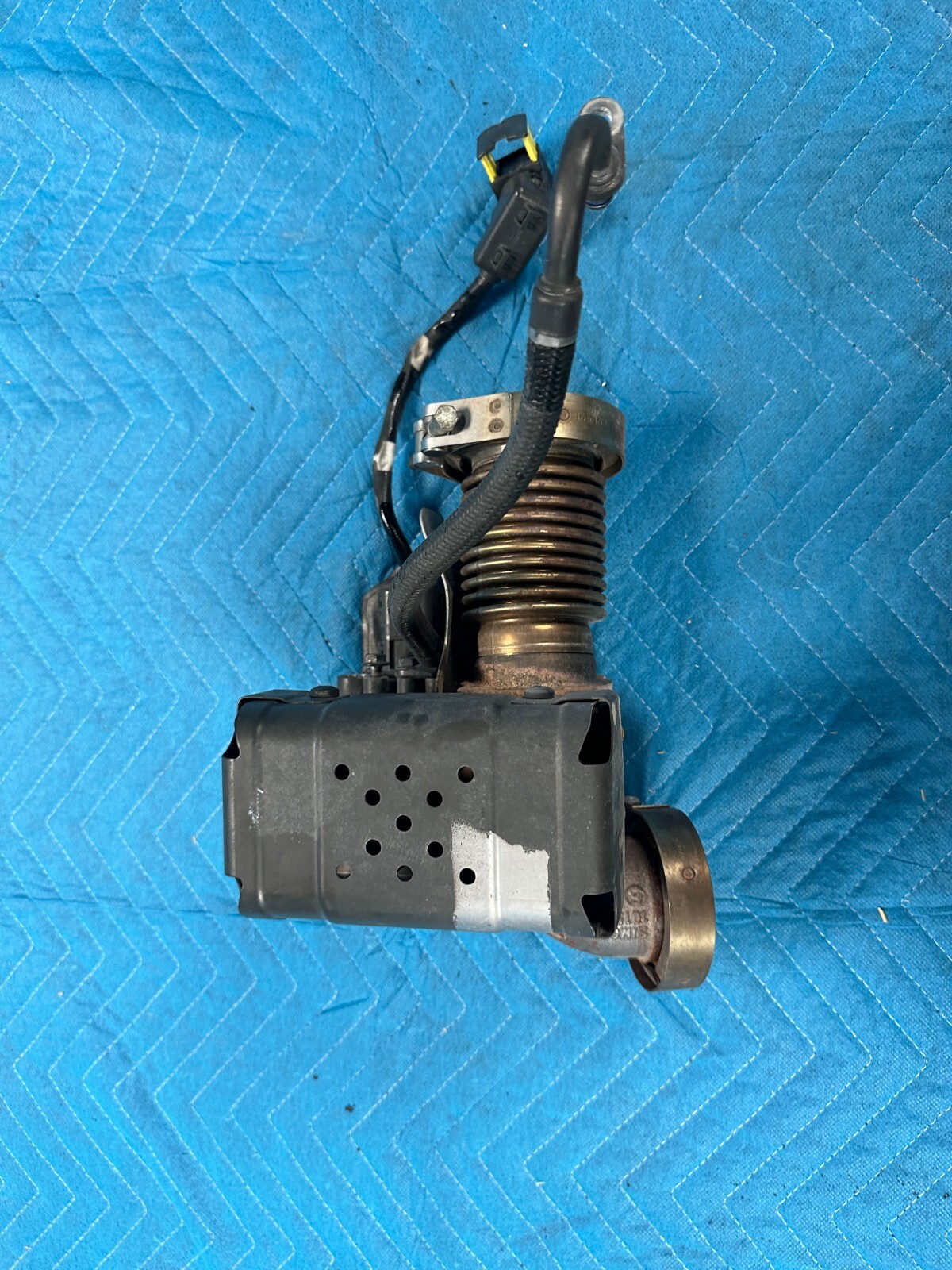 グリコーゲン $_57.JPG?set_id=880000500F