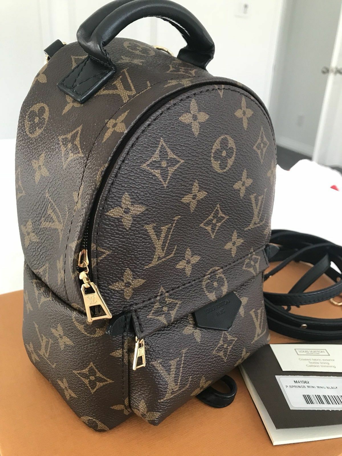 Louis Vuitton Palm Springs Mini Backpack