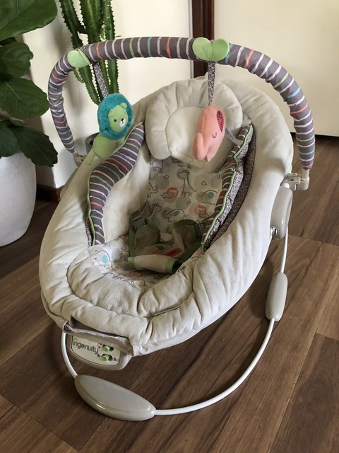 ingenuity bouncer baby bunting