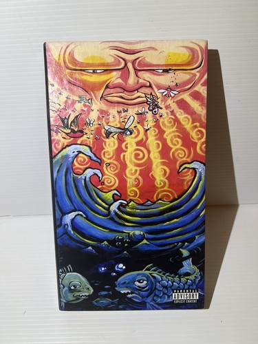 Sublime Everything Under the Sun Box Set 4 Discs 3 CD 1 DVD