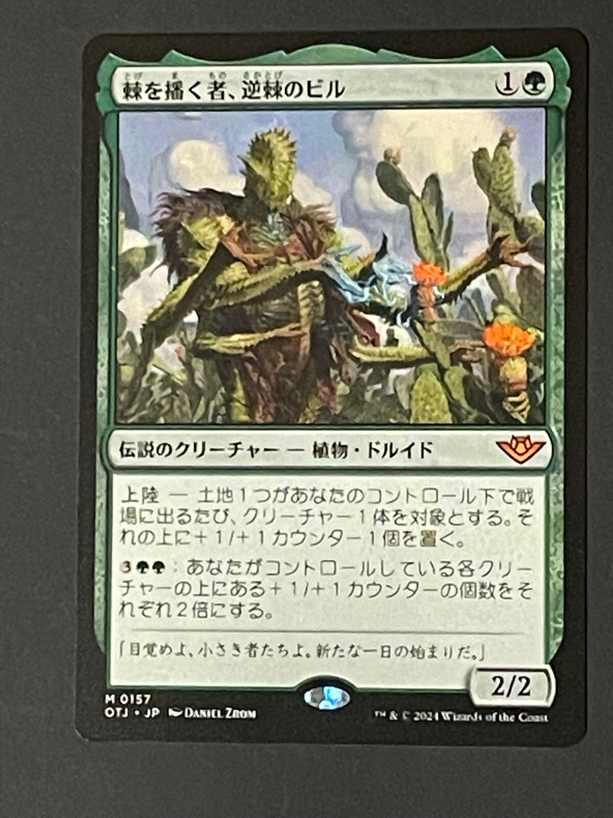 真の木立ち/Sterling Grove   INV英語foil 6cb2c1b7-aa26-4af3-8b91-