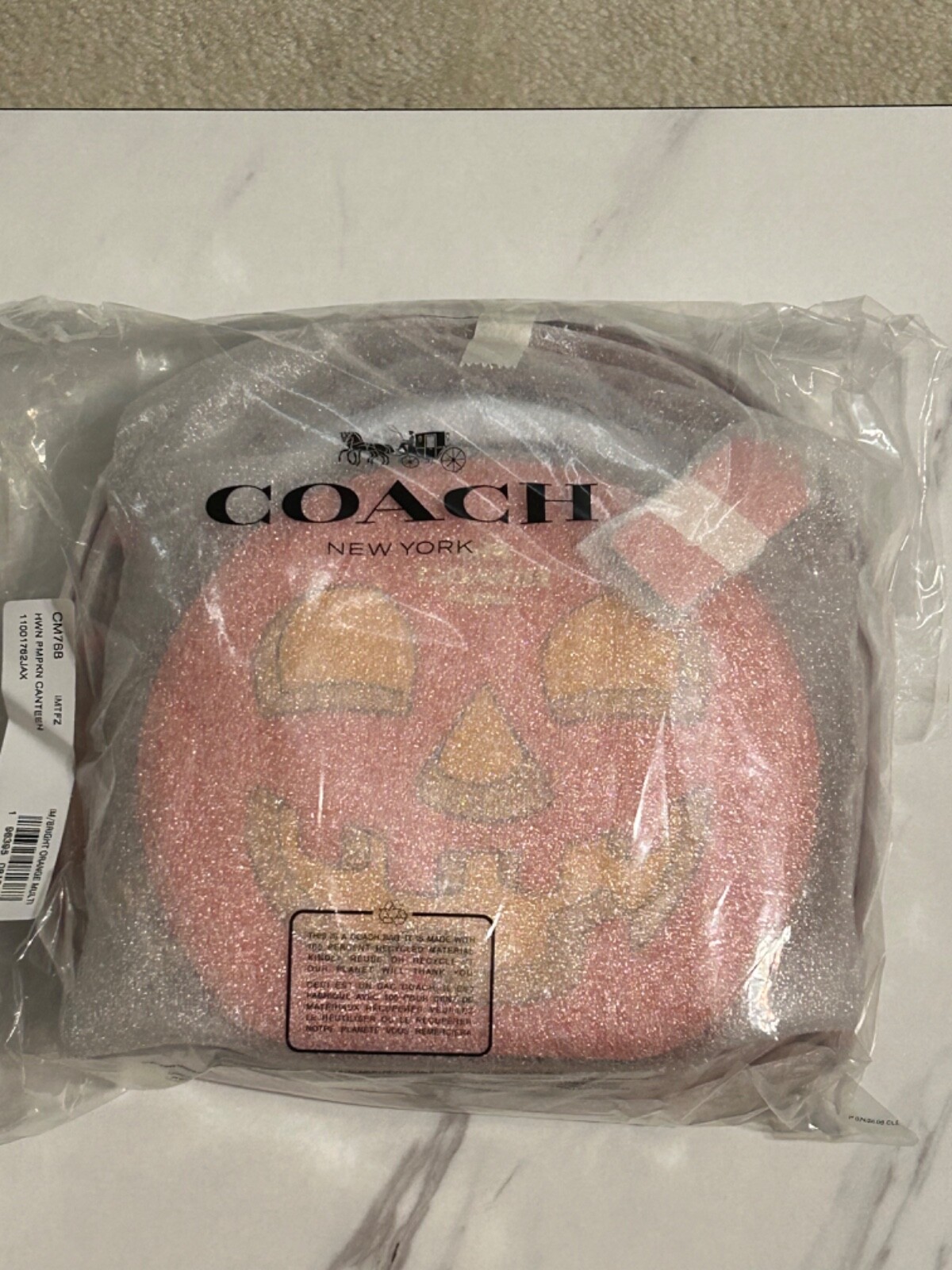 Coach Halloween PUMPKIN Canteen Crossbody 2023 - NEW IN