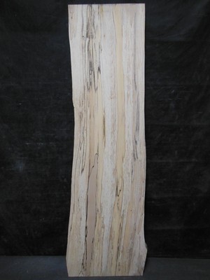 S=224_ Spalted Black Line Maple Slab 471/4