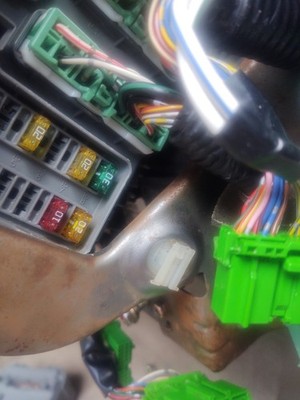 Item photo(s) from verified buyer