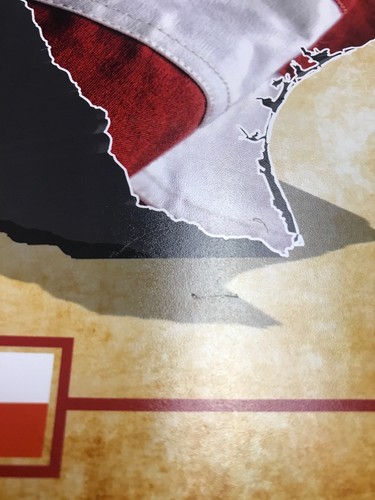 11”x14” Texas We Are America Framed Photo