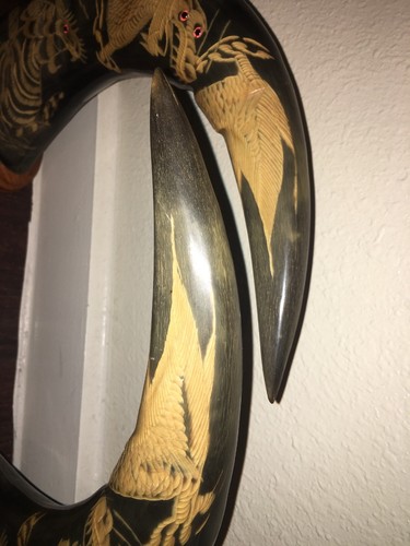 Taxidermy Asian Water Buffalo Horn Mounted Art Decorative Man Cave Bookend Pair