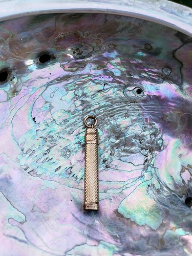 12k Gold Victorian Button Hook