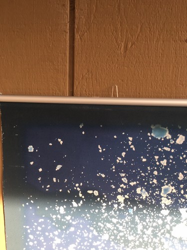 Burton Danny Davis Snowboard 4X4 Foot Canvas Wall Poster Art Display