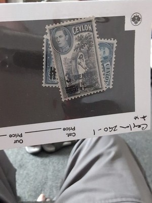 Artikelfoto(s) von einem verifizierten Käufer