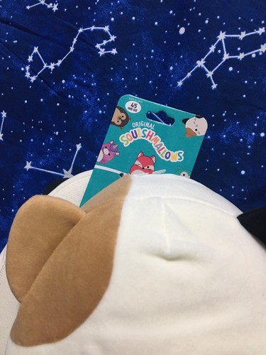 Size 4- 5 ( Fit Adult Women 6 , 7, 8 ) Cam Squishmallow Slippers Cameron Cat 4/5