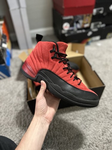 flu game 12 reverse