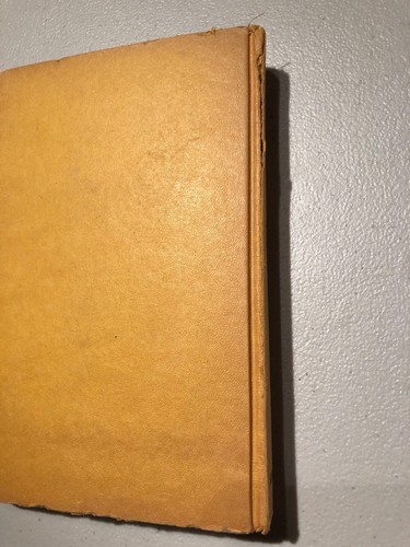 Antique Children's Book THE BOBBSEY TWINS (Enlarged Ed.) by Laura Lee Hope